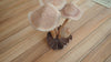 Wooden hand carved mushroom. Unique hand carved toadstool figurine