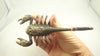 Bronze scorpion hook, hanger