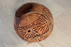 Carved coconut planters 4 per order, orchids, succulents, veggies, or herbs