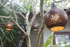 Coconut bistro patio light hand carved in Bali. Set of 6 coconuts