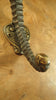 Seahorse  entry door handle, vintage solid bronze seahorse door handle