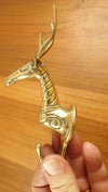 Brass deer hook, Wall Decor, Towel Hanger, Jewelry Hanger, Brass patina hook