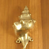 Shell Spiral hook hanger excellent home decor accent