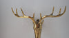 Brass Moose wall sculpture hook