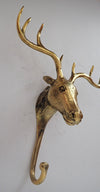 Brass Moose wall sculpture hook