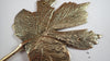 Brass Maple leaf hook or hanger for the home