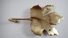 Brass Maple leaf hook or hanger for the home