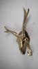 Deer Skeleton Head hook